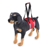 Waist,Harness,Harness,Protection,Nylon,Clasp,Protecting,Waist,Sport,Running,Leash,Product