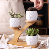 Succulent,Ceramic,Garden,Flower,Planter,Holder,Bamboo,Stand