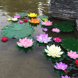 Egrow,Lotus,Flower,Seeds,Aquatic,Plants,Bonsai,Lotus,Seeds,Perennial,Plant,Garden