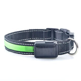 Smart,Solar,Power,Charging,Electronic,Flashing,Light,Nylon,Collar,Different