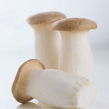 Egrow,Mushroom,Seeds,Garden,Planting,Edible,Pleurotus,Eryngii,Seeds,Vegetable,Seeds