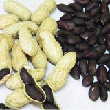 Egrow,Black,Peanut,Seeds,Organic,Fruit,Vegetable,Snacks,Plants,Seeds