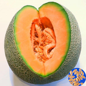 Egrow,Cantaloupe,Seeds,Honey,Yellow,Flesh,Sweet,Melon,Fruit,Summer,Muskmelon,Plants