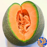Egrow,Cantaloupe,Seeds,Honey,Yellow,Flesh,Sweet,Melon,Fruit,Summer,Muskmelon,Plants