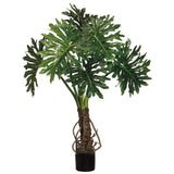 Egrow,Philodendron,Seeds,Kinds,Philodendron,Bonsai,Indoor,Plants,Radiation,Absorb,Plant