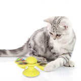 Spinning,Brush,Games