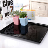 Plants,Nursery,Rectangular,Plastic,Flower,Seedling,Ceramic