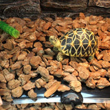 Reptile,Thermostat,Adjustment,Tortoise,Animals,Heating