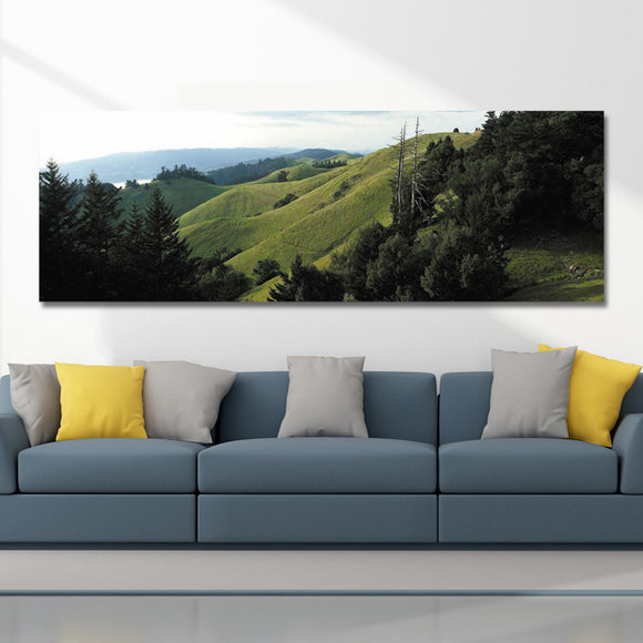 10560,Single,Spray,Paintings,Photography,Mountains,Landscape,Decoration,Paintings