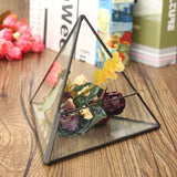Triangle,Greenhouse,Glass,Terrarium,Micro,Landscape,Succulent,Plants,Flower