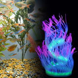 Aquarium,Waterplant,Decor,Glowing,Anemone,Coral,Plant,Ornament