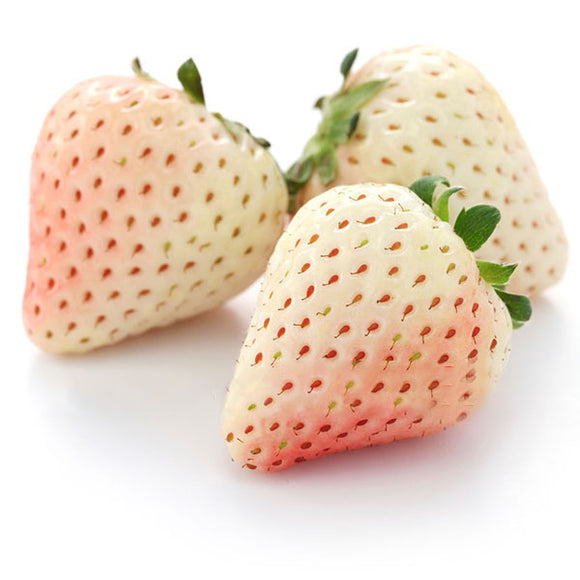 Egrow,White,Strawberry,Seeds,Garden,Indoor,Bonsai,Organic,Fragaria,Fruit