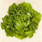 Cream,Lettuce,Seeds,Vegetable,Seeds,Salad,Rapeseed,Lettuce,Flower,Plant,Garden