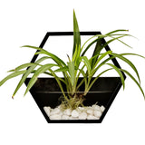 Handmade,Acrylic,Chlorophytum,Flower,Scindapsus,Hexagon,Hanging,Decoration