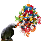 Length,Multicolor,Parrot,Chewing,Large,Medium,Parrot