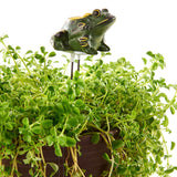 Automatic,Sensor,Resin,Moisture,Meter,Plant,Moisture,Tester,Indoor,Bonsai,Watering,Reminder,Garden,Detector,Hygrometer