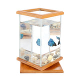 Aquarium,Lighting,Clear,Glass,Container,Office,Desktop,Decor!