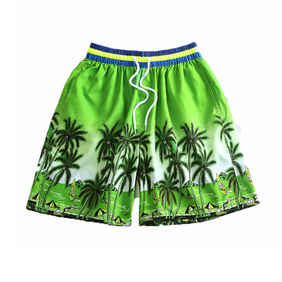 Shorts,Summer,Beach,Pants,Coconut,Trees,Leisure,Trousers,Surfing,Board,Shorts