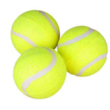 Squishy,Giant,Tennis,Chewing,Sport,Outdoor,Throw,Fetch