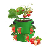 Gallon,Strawberry,Planter,Garden,Woven,Fabric