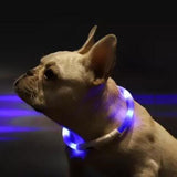 Collar,Waterproof,Charging,Lighting,Device,Warning,Lighting