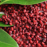 Egrow,Schisandra,Seeds,Chinese,Magnolia,Edible,Garden,Fruit,Plants