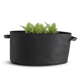Garden,Raised,Plant,Flower,Planter,Elevated,Vegetable,Planting