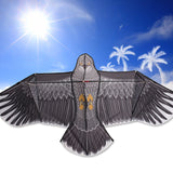 Eagle,Children,Single,Large,Flying,Outdoor,Adult