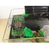 Large,Aquarium,Floating,Turtle,Basking,Terrace,Island,Platform