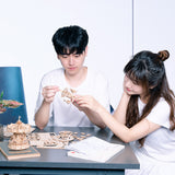 Woodcraft,Construction,Ferris,Wheel,Wooden,Model,Jigsaw,Puzzle,Adults