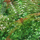 Artificial,Plant,Topiary,Hedges,Panel,Plastic,Shrubs,Fence