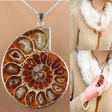 Madagascar,Natural,Druzy,Ammonite,Shell,Gemstone,Pendant,Necklace