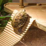 Reptile,Turtle,Basking,Floating,Platform,Ladder,Aquarium,Decorations