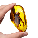 Beautiful,Amber,Hornet,Petrifaction,Insects,Manual,Polishing,Insect,Specimens,Decorations