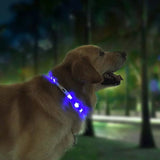 3Modes,Rechargeable,Luminous,Collar,Cuttable,Waterproof,Collar,Collar