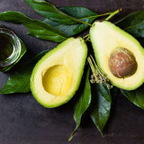 Egrow,Avocado,Seeds,Persea,Americana,Healthy,Fruit,Salad