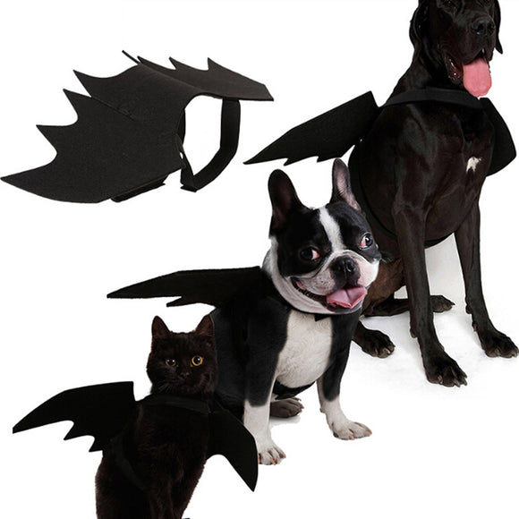 Halloween,Wings,Collar,Harness,Decor,Puppy,Black,Dress,Funny,Clothes