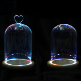 Clear,Glass,Display,Flower,Cloche,Wooden,Light,Decorations