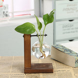 Terrarium,Glass,Hydroponic,Plant,Transparent,Flower,Wooden,Frame,Decorations