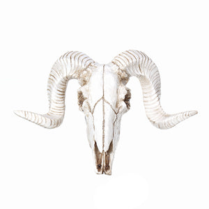 Hanging,Resin,Skull,Ornament,Sheep,Animal,Sculpture,Decorations