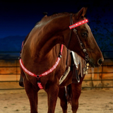 Outdoor,Luminous,Horse,Chest,Horse,Equestrian,Supplies