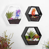 Handmade,Acrylic,Chlorophytum,Flower,Scindapsus,Hexagon,Hanging,Decoration