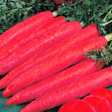 Egrow,Colorful,Carrot,Seeds,White,Purple,Origanic,Healthy,Vegetable,Plant