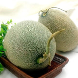 Egrow,Cantaloupe,Seeds,Honey,Yellow,Flesh,Sweet,Melon,Fruit,Summer,Muskmelon,Plants
