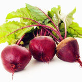 Egrow,Beetroot,Seeds,Beetroot,Plants,Green,Vegetable,Vulgaris,Bonsai,Plantas,Hardy,Vegetable