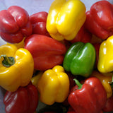 Egrow,Mixed,Yellow,Green,Pepper,Seeds,Colorful,Sweet,Pepper,Seeds,Peppers