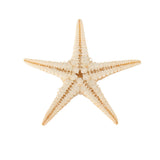 20Pcs,Starfish,Shell,Landscape,Beach,Wedding,Crafts,Making,Decorations