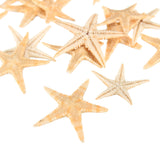 20Pcs,Starfish,Shell,Landscape,Beach,Wedding,Crafts,Making,Decorations