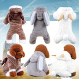 Winter,Animal,Costume,Puppy,Autumn,Winter,Coats