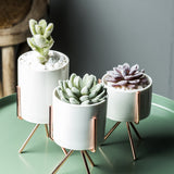 Display,Ceramic,Landscape,Shelf,Stand,Decor
